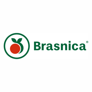 Novos patrocinadores 3